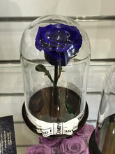 Customize the As seen in Beauty and the Beast: Eternity Rose, Under the Dome