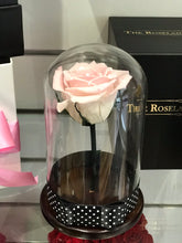 Customize the As seen in Beauty and the Beast: Eternity Rose, Under the Dome