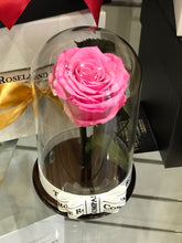 Customize the As seen in Beauty and the Beast: Eternity Rose, Under the Dome