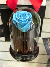 Customize the As seen in Beauty and the Beast: Eternity Rose, Under the Dome