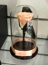 Customize the As seen in Beauty and the Beast: Eternity Rose, Under the Dome