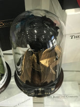 Customize the As seen in Beauty and the Beast: Eternity Rose, Under the Dome