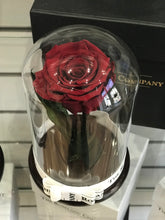 Customize the As seen in Beauty and the Beast: Eternity Rose, Under the Dome