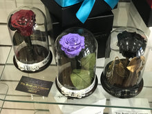 Customize the As seen in Beauty and the Beast: Eternity Rose, Under the Dome