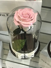 Customize the As seen in Beauty and the Beast: Eternity Rose, Under the Dome