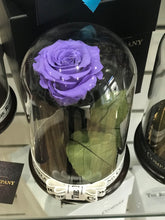 Customize the As seen in Beauty and the Beast: Eternity Rose, Under the Dome