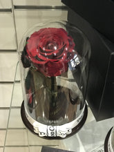 Customize the As seen in Beauty and the Beast: Eternity Rose, Under the Dome