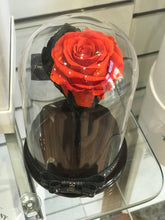 Customize the As seen in Beauty and the Beast: Eternity Rose, Under the Dome