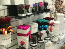 Customize the As seen in Beauty and the Beast: Eternity Rose, Under the Dome