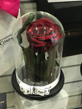 Customize the As seen in Beauty and the Beast: Eternity Rose, Under the Dome