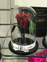 Customize the As seen in Beauty and the Beast: Eternity Rose, Under the Dome
