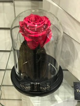 Customize the As seen in Beauty and the Beast: Eternity Rose, Under the Dome