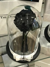 Customize the As seen in Beauty and the Beast: Eternity Rose, Under the Dome
