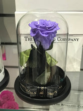 Customize the As seen in Beauty and the Beast: Eternity Rose, Under the Dome