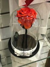 Customize the As seen in Beauty and the Beast: Eternity Rose, Under the Dome