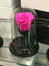 Customize the As seen in Beauty and the Beast: Eternity Rose, Under the Dome