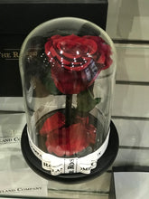 Customize the As seen in Beauty and the Beast: Eternity Rose, Under the Dome