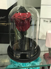Customize the As seen in Beauty and the Beast: Eternity Rose, Under the Dome