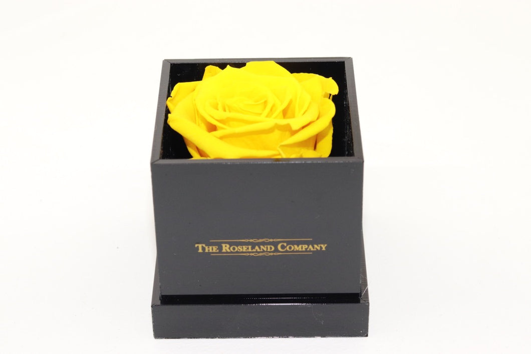BLACK Small Cube Box with YELLOW Eternity Rose