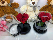 Customize the As seen in Beauty and the Beast: Eternity Rose, Under the Dome