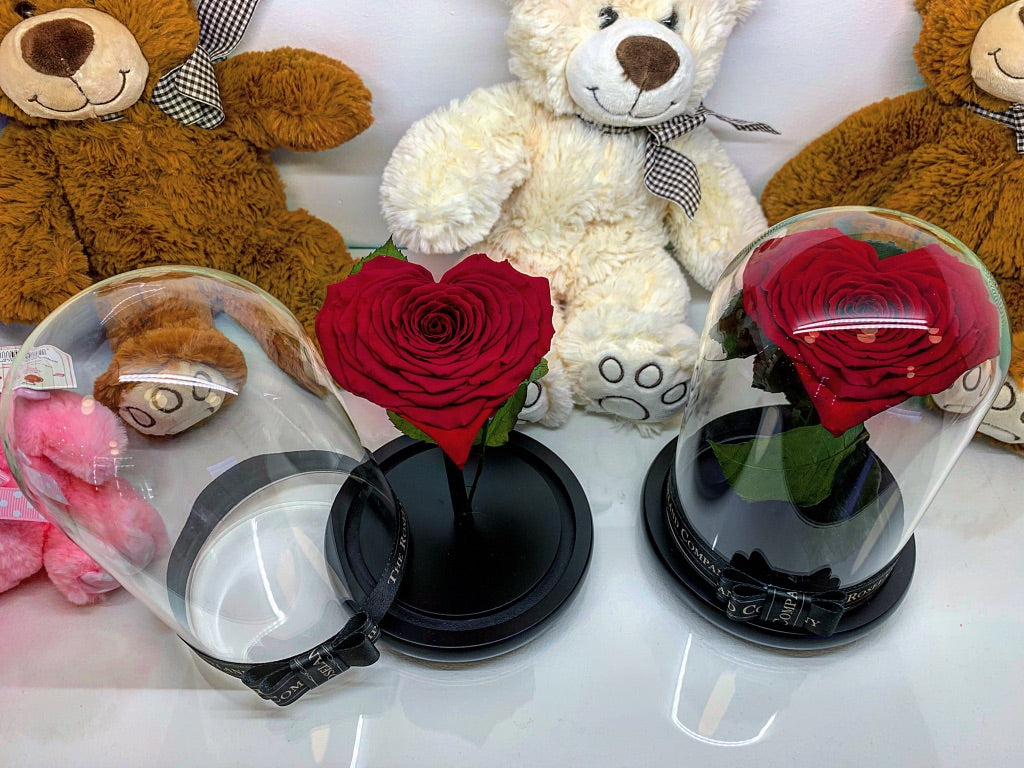 As seen in Beauty and the Beast: Heart Shape RED Eternity Rose, Under the Dome