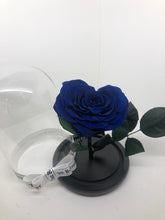 Customize the As seen in Beauty and the Beast: Eternity Rose, Under the Dome