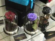 Customize the As seen in Beauty and the Beast: Eternity Rose, Under the Dome