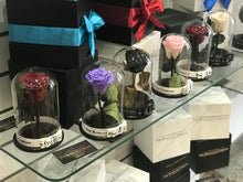 Customize the As seen in Beauty and the Beast: Eternity Rose, Under the Dome