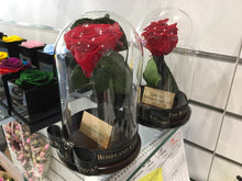 Customize the As seen in Beauty and the Beast: Eternity Rose, Under the Dome
