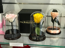 Customize the As seen in Beauty and the Beast: Eternity Rose, Under the Dome