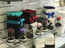 Customize the As seen in Beauty and the Beast: Eternity Rose, Under the Dome