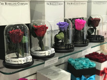 Customize the As seen in Beauty and the Beast: Eternity Rose, Under the Dome