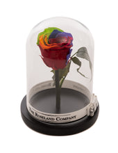 As seen in Beauty and the Beast: Rainbow Eternity Rose, Under the Dome