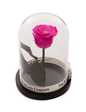 Customize the As seen in Beauty and the Beast: Eternity Rose, Under the Dome