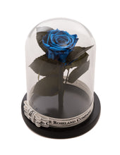 As seen in Beauty and the Beast: Metalic Blue Eternity Rose, Under the Dome