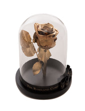 As seen in Beauty and the Beast: Gold Eternity Rose, Under the Dome