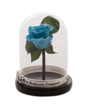 As seen in Beauty and the Beast: Light Blue Eternity Rose, Under the Dome