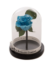 As seen in Beauty and the Beast: Light Blue Eternity Rose, Under the Dome