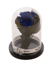As seen in Beauty and the Beast: Dark Blue Eternity Rose, Under the Dome