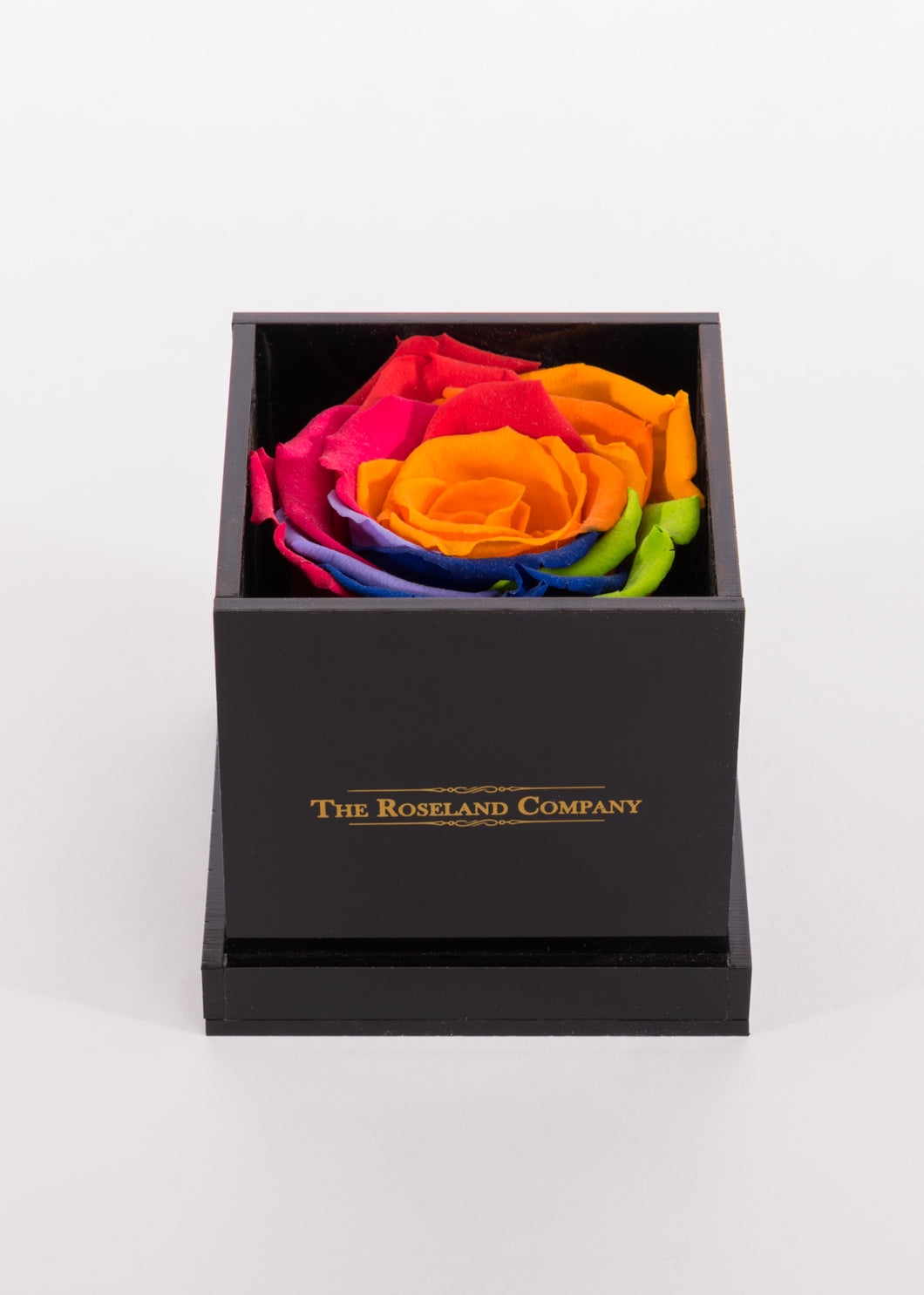 BLACK Small Cube Box with RAINBOW Eternity Rose
