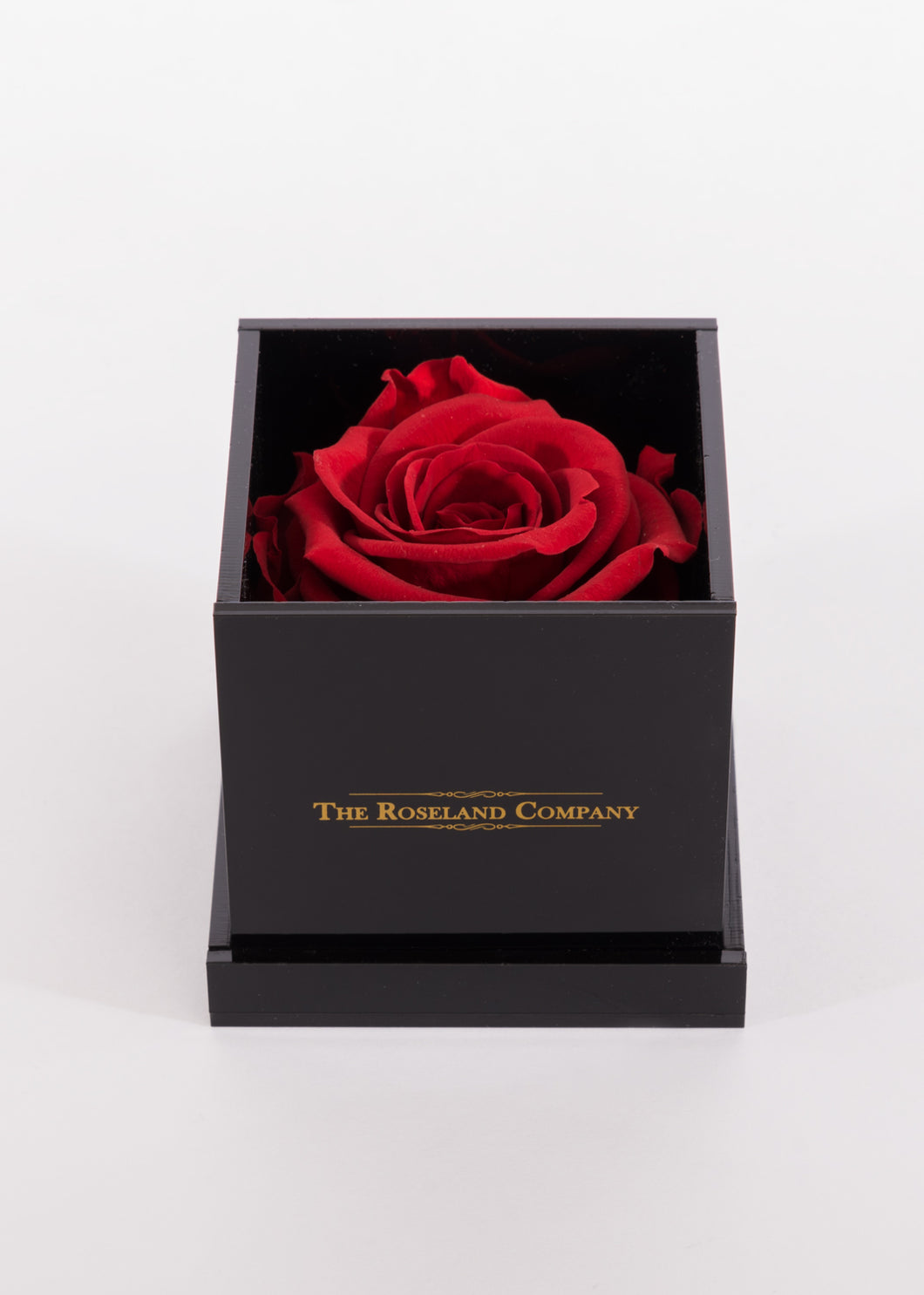 BLACK Small Cube Box with RED Eternity Rose
