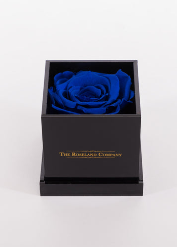 BLACK Small Cube Box with DARK BLUE Eternity Rose