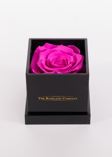 BLACK Small Cube Box with DARK PINK Eternity Rose