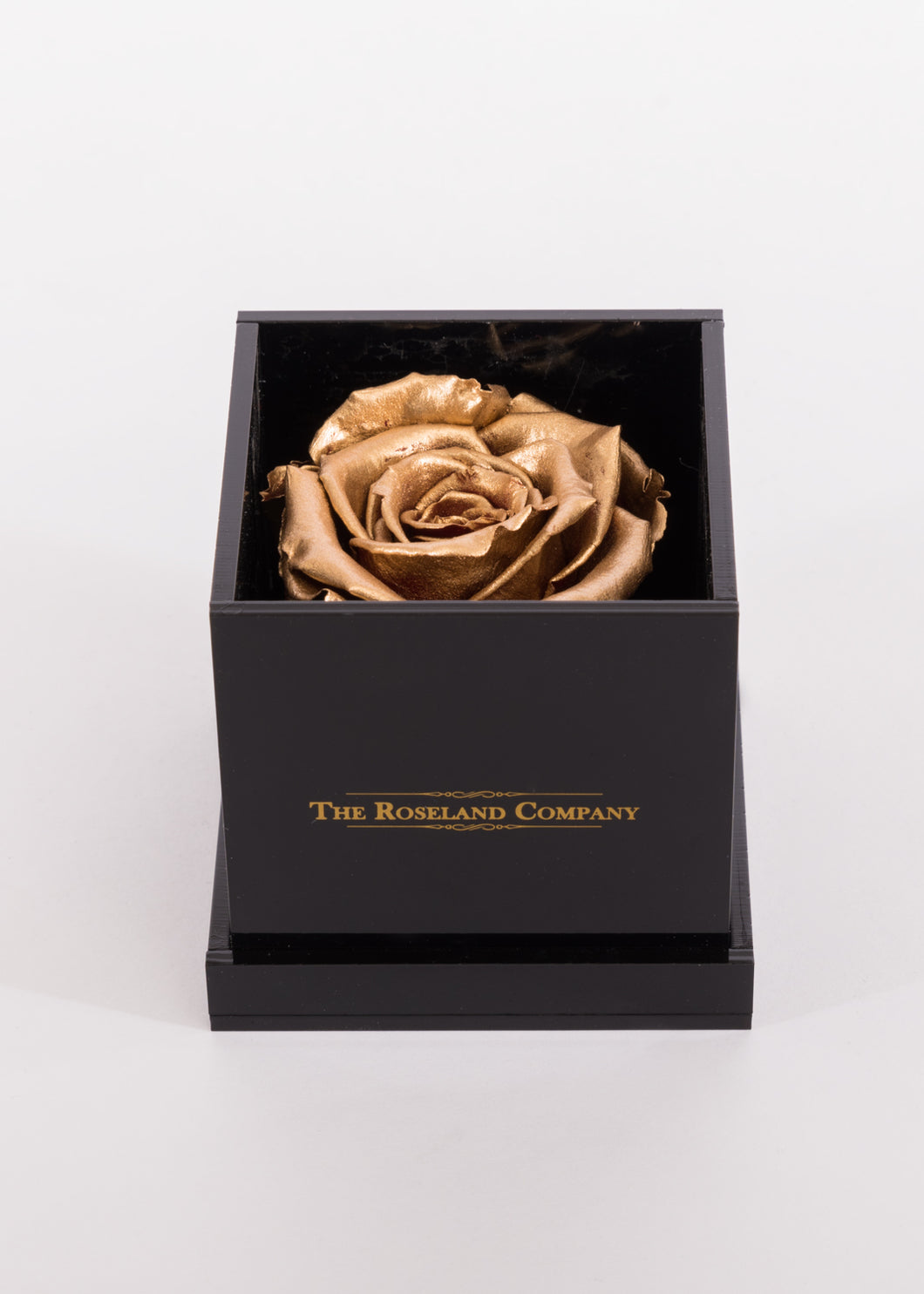 BLACK Small Cube Box with GOLD Eternity Rose