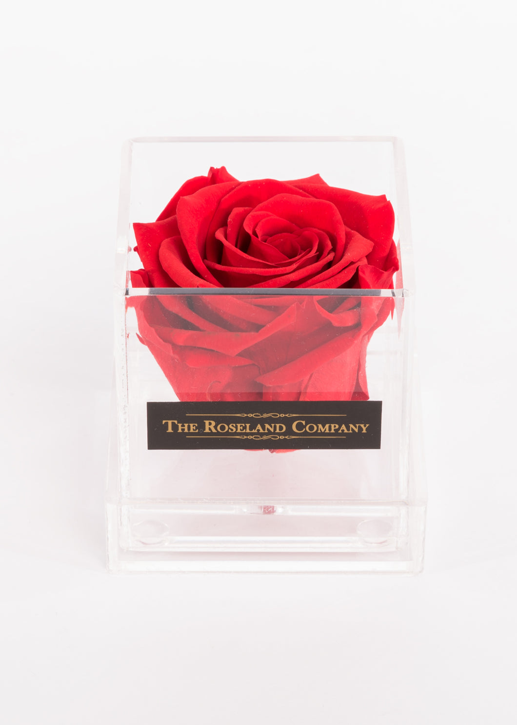 Eternity Rose, Transparent Small Cube Box