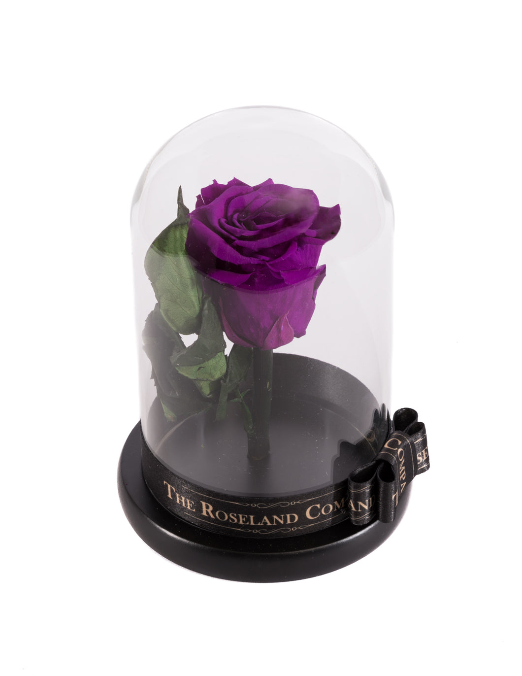 As seen in Beauty and the Beast: Purple Eternity Rose, Under the Dome