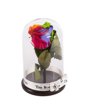 Customize the As seen in Beauty and the Beast: Eternity Rose, Under the Dome