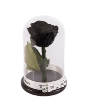 As seen in Beauty and the Beast: Black Eternity Rose, Under the Dome