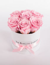 The Roseland Mini White Round Box - Pink Eternity Roses