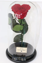 Eternity Rose, Under the Dome (Big size with heart rose)